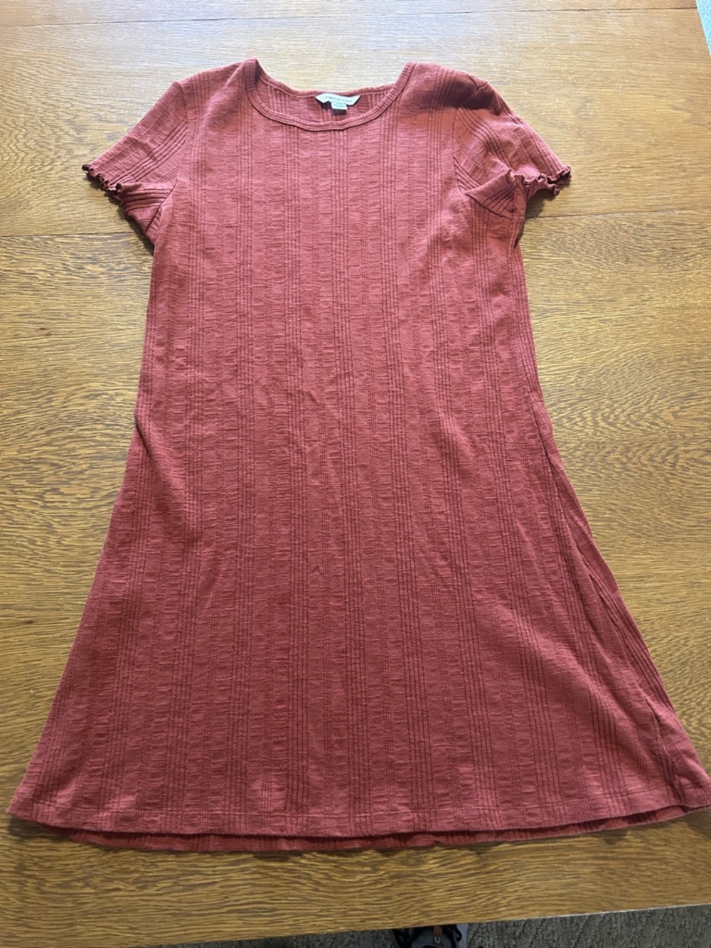 American Eagle Outfitters Ribbed Mini Dress in Rust Red